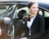 Moe's Chauffeured Services